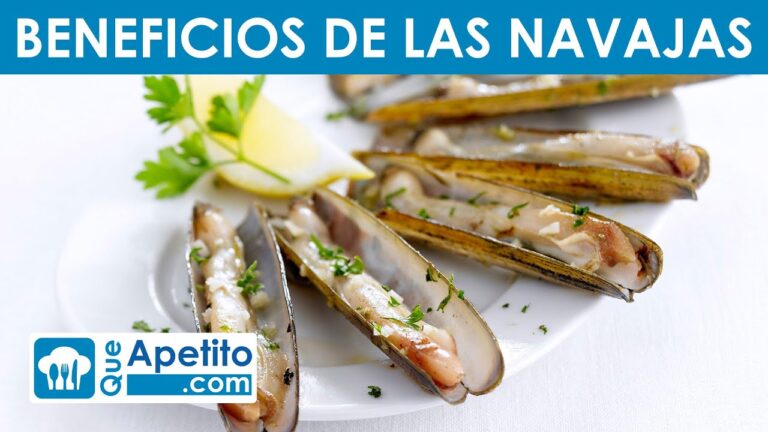 Propiedades Esenciales de las Navajas