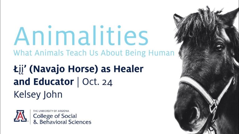 El Caballo Navajo: Símbolo de Cultura y Resiliencia