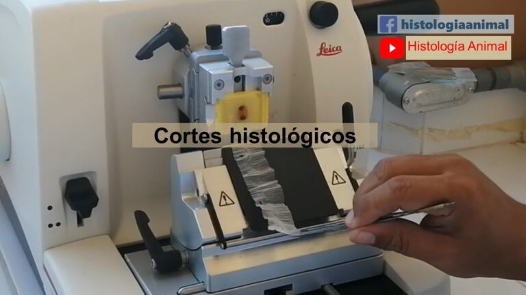 Uso Eficiente de la Navaja Histológica en Laboratorio