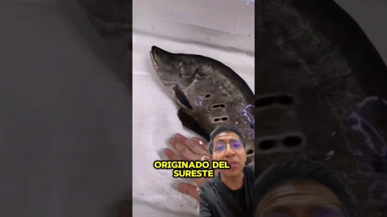 El enigmático mundo del pez navaja: características y hábitat