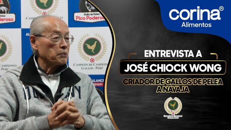 Gallos de Pelea: La Controversia de las Navajas
