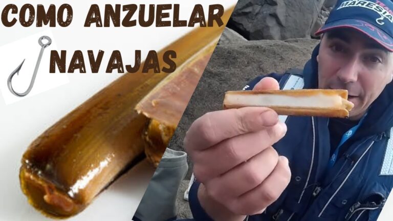 Navajas Cebo: La Estrategia Perfecta para Pescar