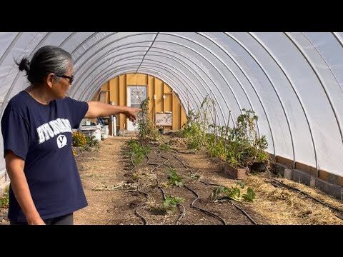 Pobreza Navajo: Desafíos y Soluciones