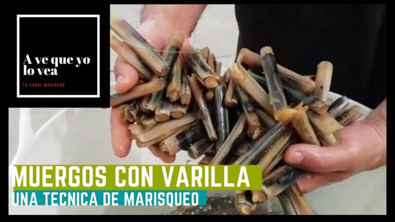 Varilla para Navajas: Guía Completa de Selección y Uso