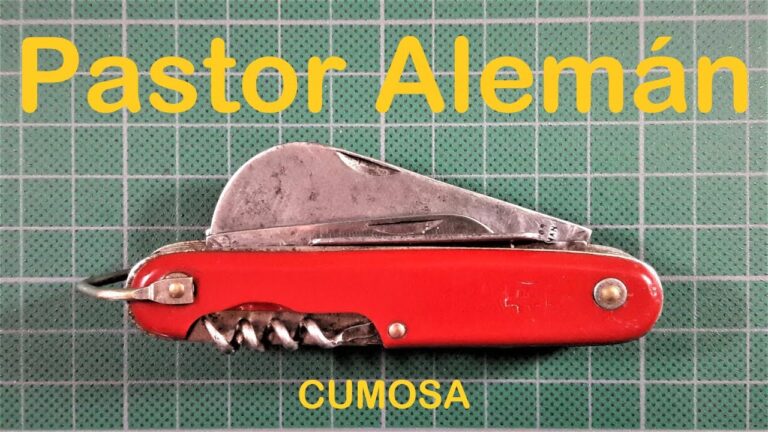 Navajas para el Pastor Alemán: Guía de Selección y Uso