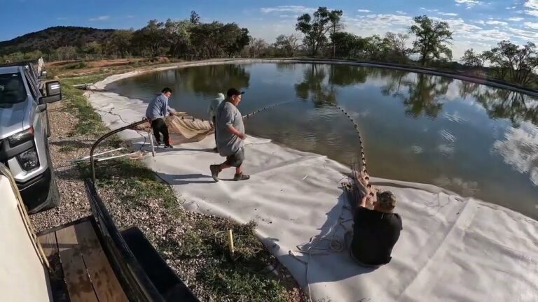 Pescado Navajo: Tradición y Sostenibilidad en la Cultura Indígena