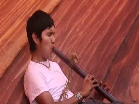 Instrumentos Musicales Navajos: Tradición y Sonido