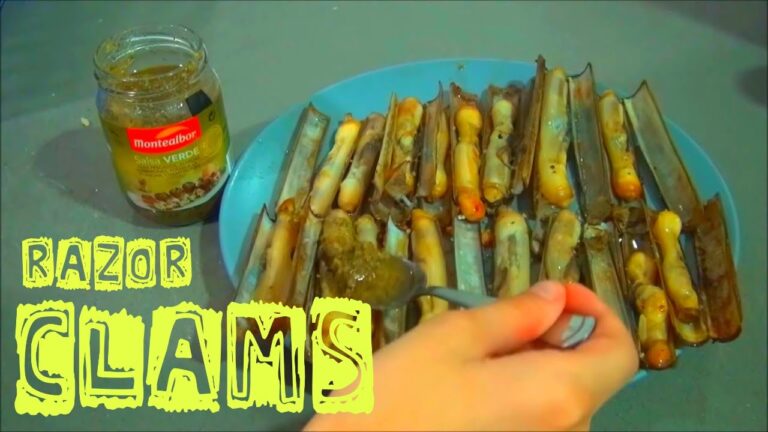 Receta Perfecta de Navajas