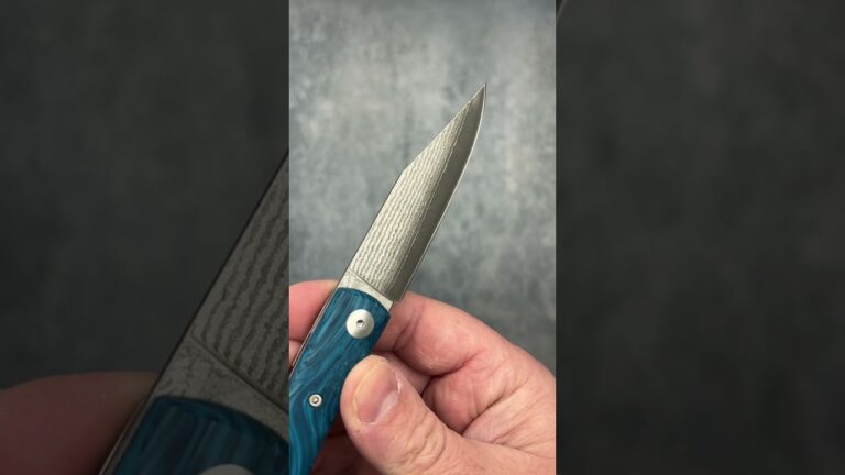 Navaja Salamandra Lola: Caracter&iacute;sticas y Cuidados Esenciales