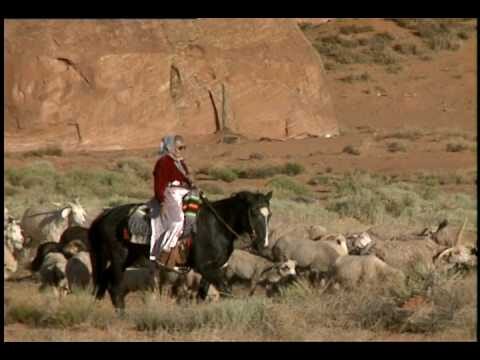 La tradición del pastoreo de ovejas navajo