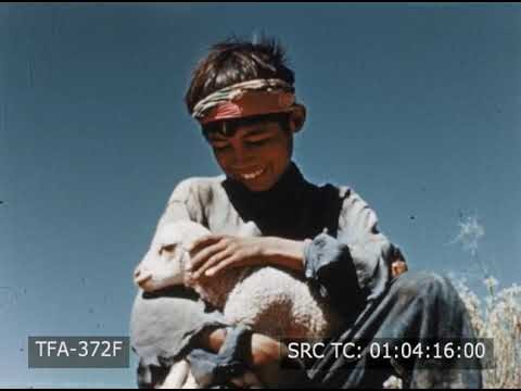 Hombres Navajos: Tradición y Modernidad