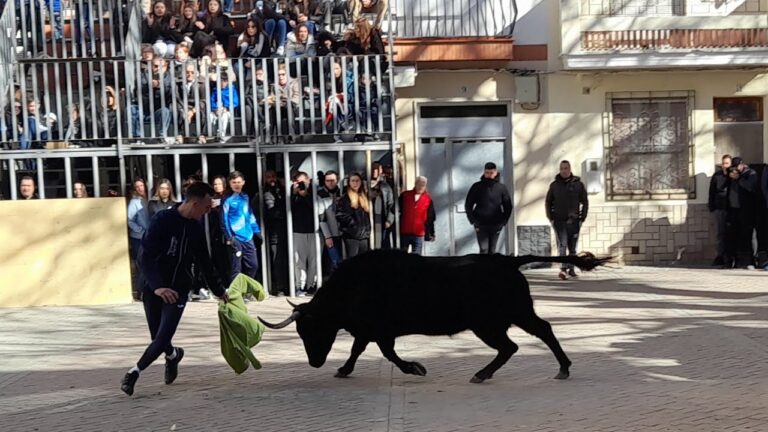 Toros en Navajas: Tradici&oacute;n y Valor Cultural