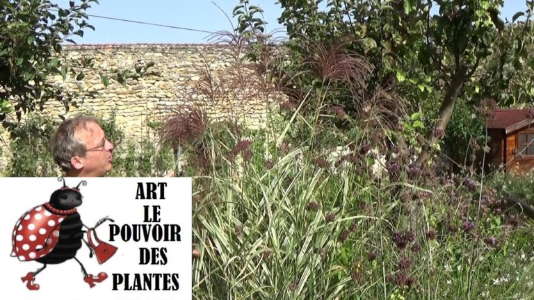 Miscanthus Sinensis Navajo: Cultivo y Beneficios