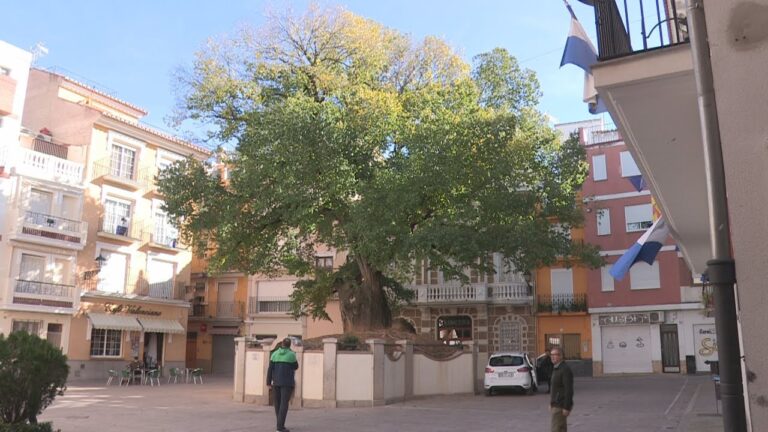 Navajas: Un An&aacute;lisis de sus Habitantes