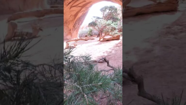 Arco Navajo: Maravilla Natural del Suroeste Americano