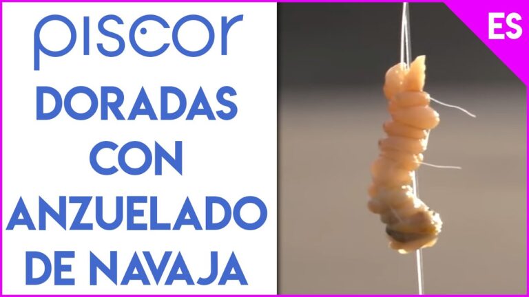 La Tradici&oacute;n de la Navaja Sarda: Arte y Funcionalidad
